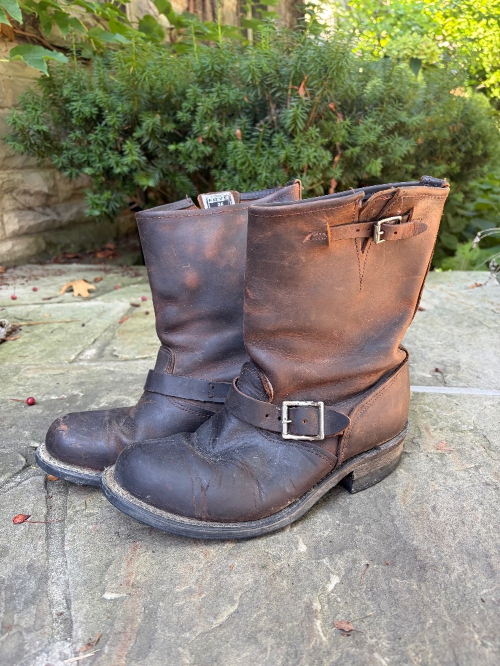 Frye Boots